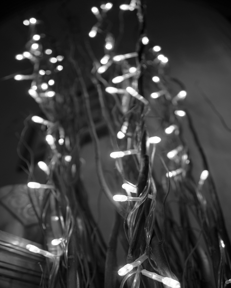 Illustration for article titled Photo Contest: Christmas Lights